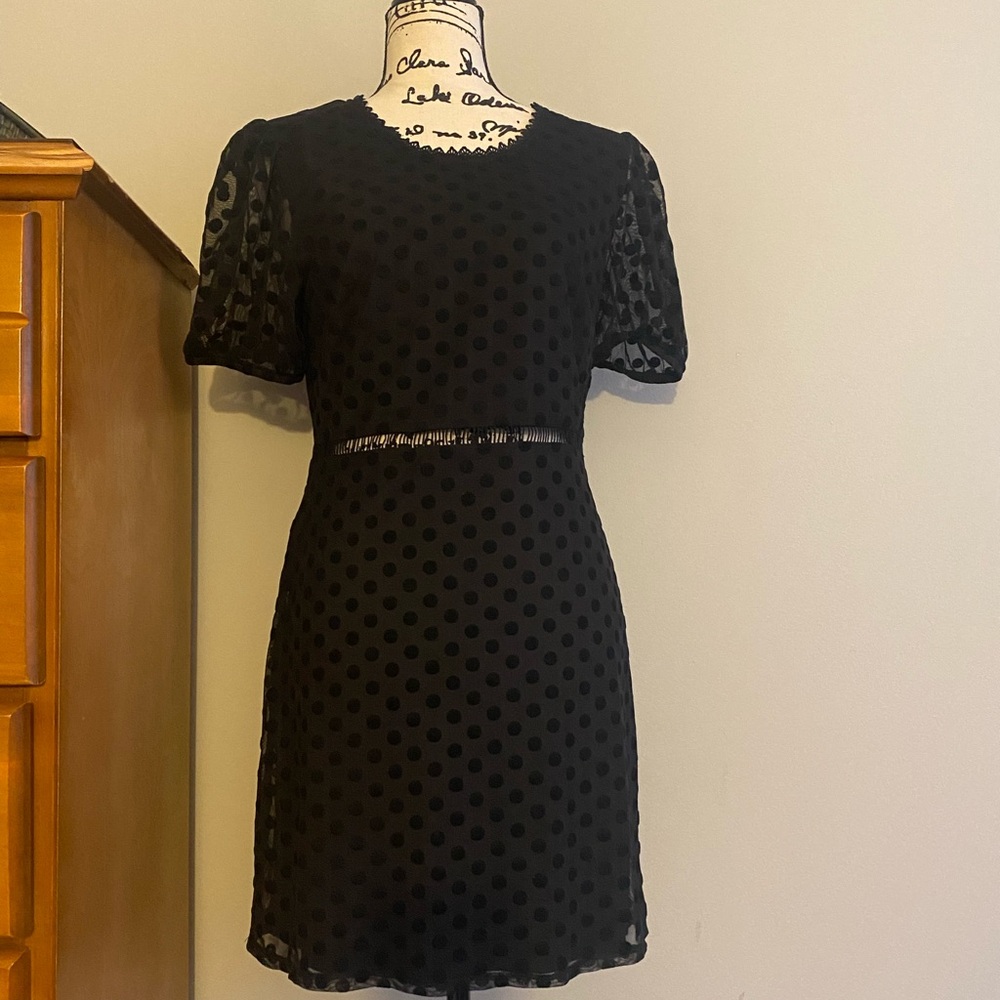Little Black Polka Dot Dress